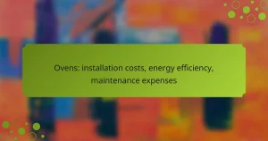 Ovens: installation costs, energy efficiency, maintenance expenses