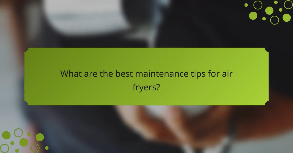 What are the best maintenance tips for air fryers?
